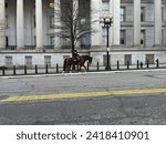 Small photo of Washington DC, USA - 01-10-2023: A mounted policeman walks his house down 15th street in NW Washington DC, USA.