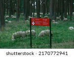 Sign in French and English warning that this field contains unexploded WWI ordinance at Vimy Ridge, France. Sheep are used to mow the grass. 