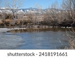 Small photo of Winter. Sloan's Lake Park, Denver, Colorado, USA