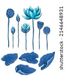 Vector Set Of Blue Lotuses And...
