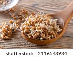 Small photo of Young wheat sprouts, super healthy and fortified food. Whole wheat sprouts in a wooden spoon and spilled from a sprouting jar. Superfood, antioxidant and rich set of proteins and carbohydrates.