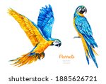 Watercolor Parrots. Tropical...