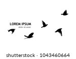 flock of flying birds. vector | Shutterstock .eps vector #1043460664