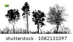 Silhouette Of Trees. Vector