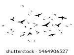 a flock of flying birds. vector ... | Shutterstock .eps vector #1464906527