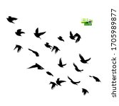 a flock of flying birds... | Shutterstock .eps vector #1705989877