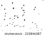 a flock of flying birds. vector | Shutterstock .eps vector #223846387