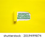 Diversity  Inclusion  Belonging ...