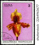 Small photo of CUBA - CIRCA 1972: A stamp printed in shows Cypripedium exul orchid, Tropical Orchids serie, circa 1972