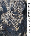 Small photo of Detail of hardened lava with several dry plants in the sunlight in Lanzarote, Canary islands. Details of solidified small waves of magma running beforetime are well seen. Amazing texture and pattern