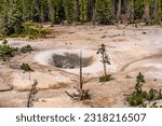 Sulphur Caldron at Yellowstone National Park.