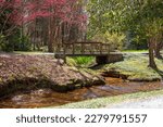 a gorgeous spring landscape in the garden with a wooden bridge over a flowing stream surrounded by red trees and lush green trees and grass at Gibbs Gardens in Ball Ground Georgia USA
