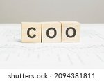 Coo Wooden Blocks Word On Grey...