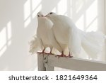 A Pair Of White Decorative...