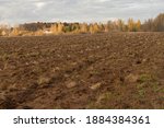 View of a plowed autumn field on the edge of the forest.Preparation for sowing. Or fallow land