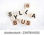 Small photo of Syllabus - word concept on cubes, text, letters