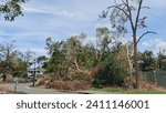 Small photo of Storm damage to Trees, roadside vegetation, parks and residential areas, waiting cleaning up after severe storms, Gold Coast, Queensland, Australia
