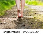 Woman legs walking in summer forest. Barefoot and health concept.