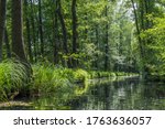 One of the numerous water canals in biosphere reserve Spree forest (Spreewald) in Luebbenau, Brandenburg, Germany