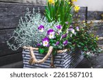 Gray Wooden Flower Box With...