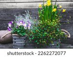 Gray Wooden Flower Box With...