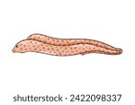 moray eel character in cartoon...