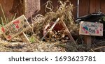 A Bug Hotel  With Signs So The...