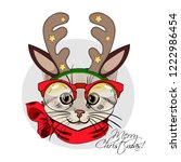 Vector Cat With Christmas Horns ...