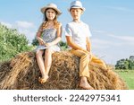 Small photo of Cute little girl and boy sitting together at top of haystack. Friends resting on hayrick. Outdoor walking. Beautiful blue sky, green trees, rustic nature. Summer vacation, countryside lifestyle.