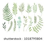 vector watercolor illustrations.... | Shutterstock .eps vector #1018795804
