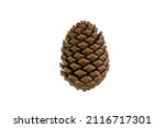 A Dark Brown Pinecone On A...