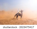 Horses Show In Algeria North...