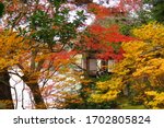 Small photo of The tea house Furo-an on the bank of Hijikawa River at Garyu Sanso Villa with vibrant autumn leaves