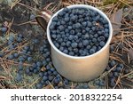 A Mug Full Of Blueberries On A...
