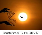 Bird flying out of cage ...