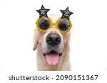 Portrait of a cute dog wearing glasses with the inscription Happy New Year. Golden Retriever wishes a Happy New Year 2022. Postcard with a pet.