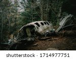Eerie Plane Crash in the Mountains of North Carolina, Admist a Moody Autumn Forest