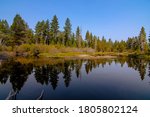 Forest reflections in a small lake in Northern California in Sugar Pine State Park in Tahoma, California near Lake Tahoe
