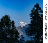 Small photo of A view of the Trisul mountain peak on the Himalayan range framed with pine trees on either sides
