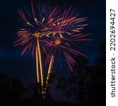 Small photo of Yellow, purple and blue fireworks exploding over trees in the sky, leaving trails as the arise and detonate with loud booms.