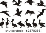 collection of vector... | Shutterstock .eps vector #62870398