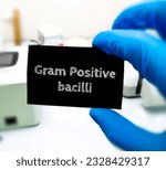 Small photo of Gram Positive bacilli, medical and healthcare conceptual image. Bacillus spp., Clostridium spp., Listeria spp. and Corynebacterium spp