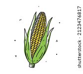 Corn Cob Isolated On White...