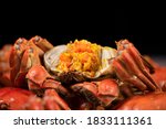 steamed chinese mitten crab, shanghai hairy crab with lots of crab roe（大闸蟹）