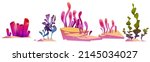 coral reef or seaweeds... | Shutterstock .eps vector #2145034027