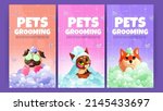 Pets Grooming Posters With Cute ...