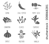 fresh herbs and spices icon set.... | Shutterstock .eps vector #308868281