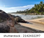 Rocky beach with palm trees, beautiful beach with rocks and palm trees, Ezhara beach, kannur, kerala, india,picture blured and out of focus