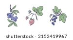 a set of simple hand drawn... | Shutterstock .eps vector #2152419967