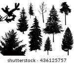 silhouette of different pine... | Shutterstock . vector #436125757